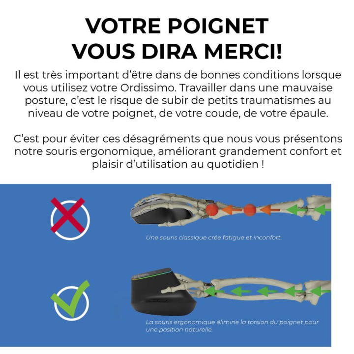 Souris Ergonomique RGB sans fil Ordissimo